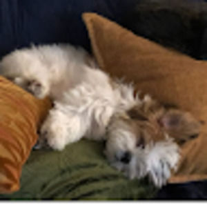 Meet your Posher, Janie